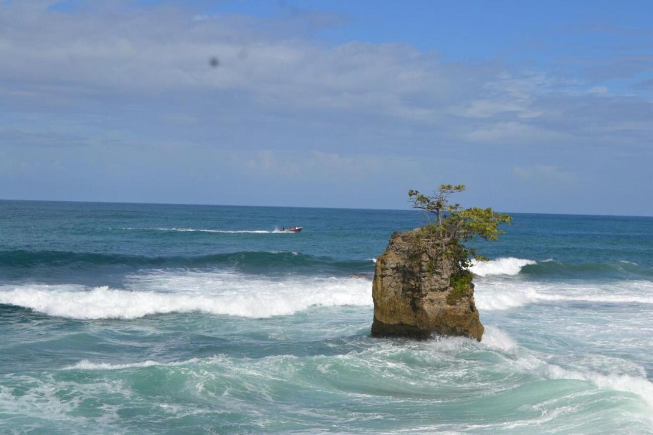 Hotel Cahuita Exteriör bild