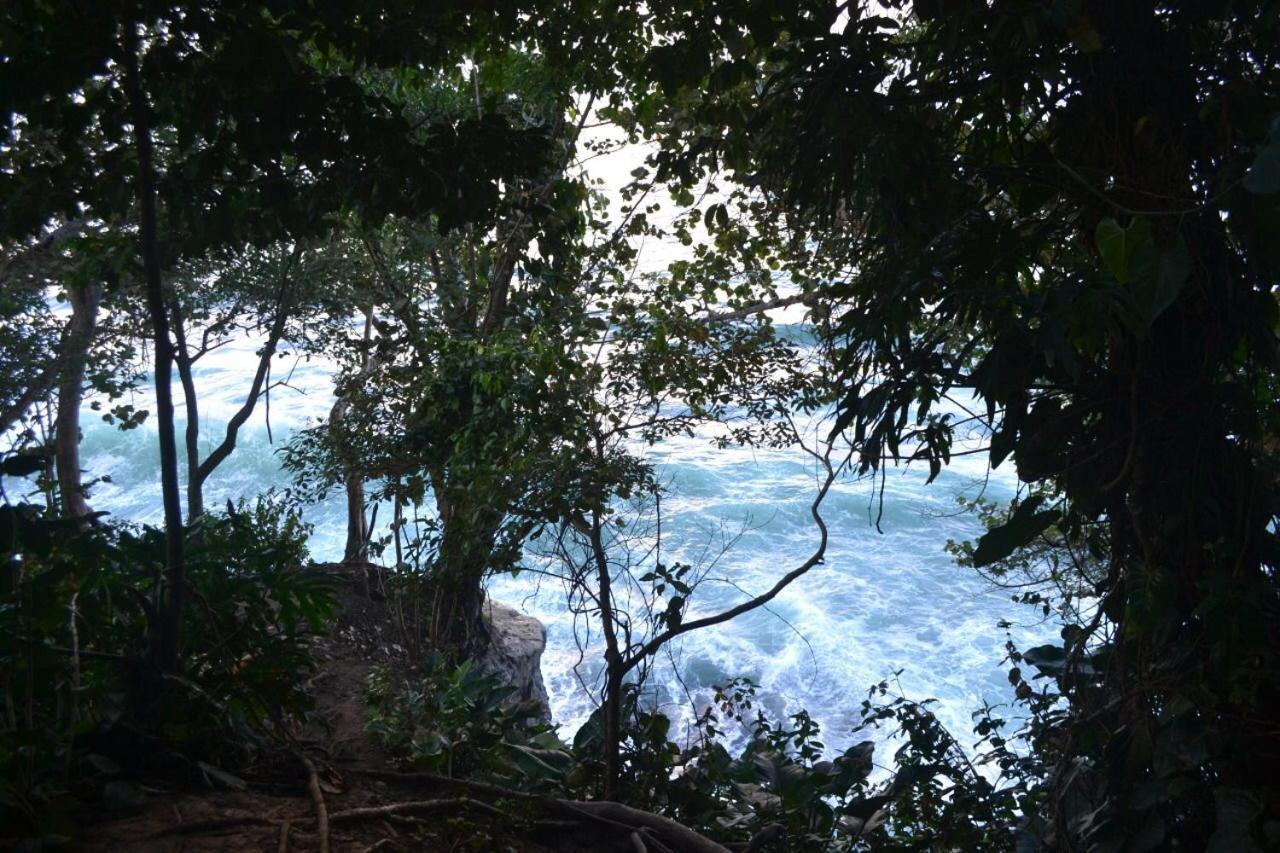 Hotel Cahuita Exteriör bild