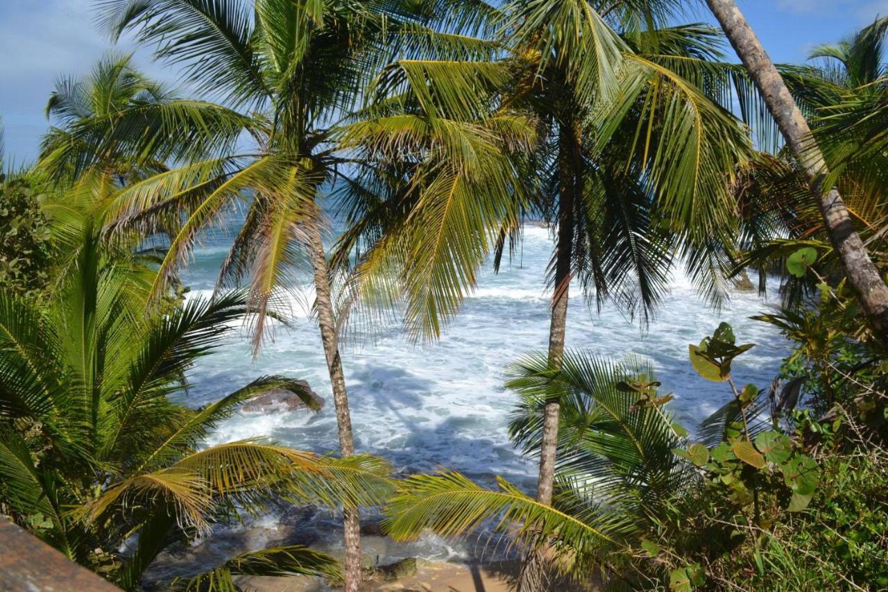 Hotel Cahuita Exteriör bild