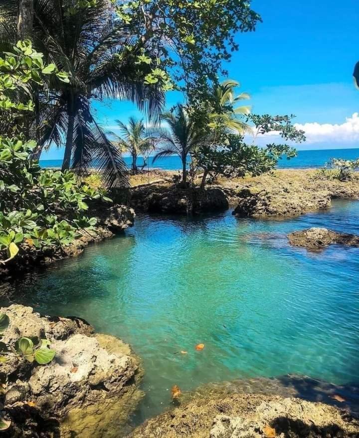 Hotel Cahuita Exteriör bild